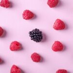 découvrez le délicieux monde de la framboise, ce fruit juteux et sucré, idéal pour vos desserts, smoothies et confitures. plongez dans ses bienfaits nutritionnels et savourez chaque bouchée de cette petite merveille rouge!