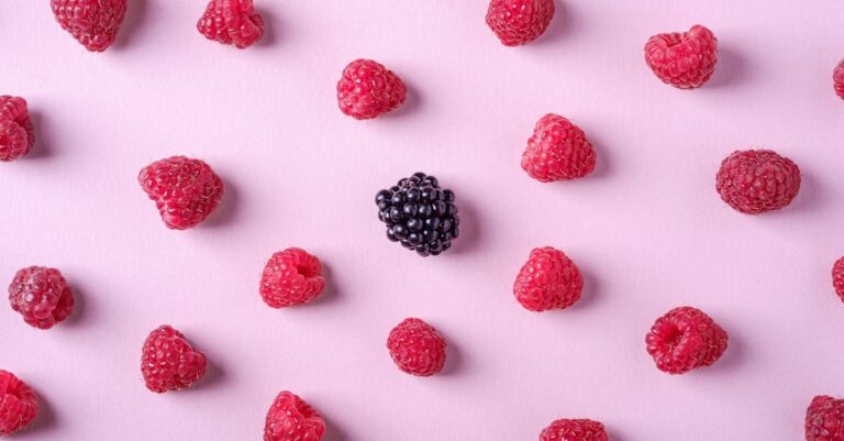 découvrez le délicieux monde de la framboise, ce fruit juteux et sucré, idéal pour vos desserts, smoothies et confitures. plongez dans ses bienfaits nutritionnels et savourez chaque bouchée de cette petite merveille rouge!