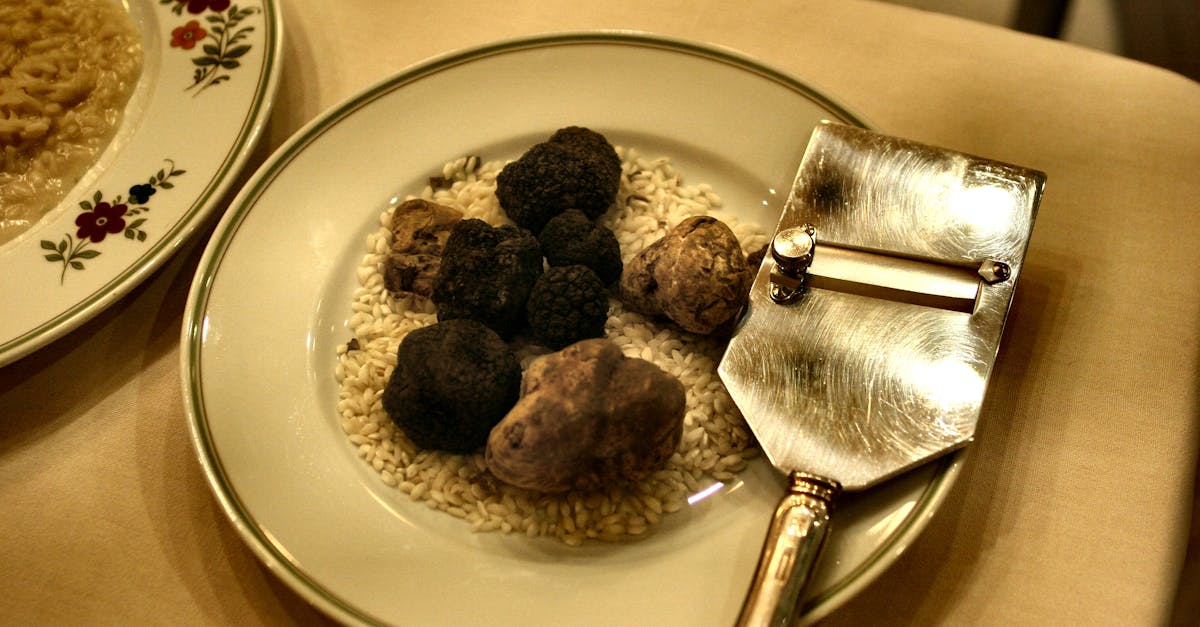 découvrez notre délicieuse recette de risotto, un plat crémeux et savoureux qui fond dans la bouche. parfait pour les dîners en famille ou entre amis, apprenez à maîtriser l'art de la cuisson du riz pour un résultat digne des plus grands chefs.