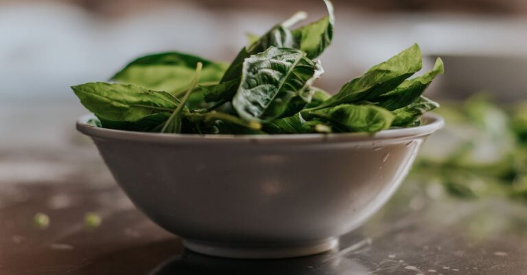 découvrez les bienfaits des épinards pour votre santé ! riches en vitamines et minéraux, ces légumes verts sont parfaits pour une alimentation équilibrée. apprenez à les cuisiner de manière délicieuse dans nos recettes variées.
