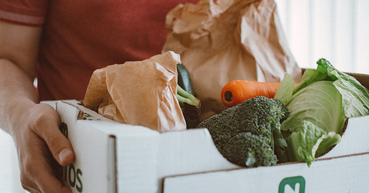 découvrez notre délicieuse recette de soupe de courgette, un plat léger et réconfortant, parfait pour toutes les saisons. facile à préparer, cette soupe onctueuse saura ravir vos papilles avec ses saveurs fraîches et sa texture crémeuse.