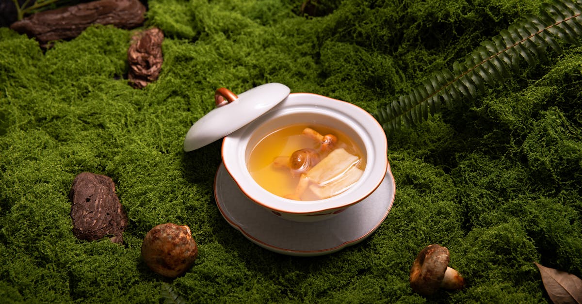 savourez une délicieuse soupe de courgettes, légère et réconfortante, parfaite pour tous les repas. découvrez notre recette simple et rapide pour préparer cette soupe healthy, pleine de saveurs et idéale en toute saison.