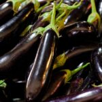 découvrez tout sur les aubergines : recettes savoureuses, bienfaits nutritionnels et astuces de préparation. apprenez à apprécier ce légume polyvalent, qu'il soit grillé, rôti ou en ratatouille. idéal pour une cuisine saine et gourmande !