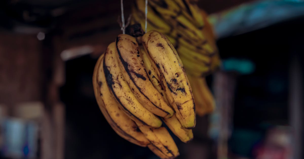 découvrez notre délicieuse recette de banana muffins moelleux et faciles à préparer. parfaits pour le petit-déjeuner ou le goûter, ces muffins gourmands séduiront toute la famille !