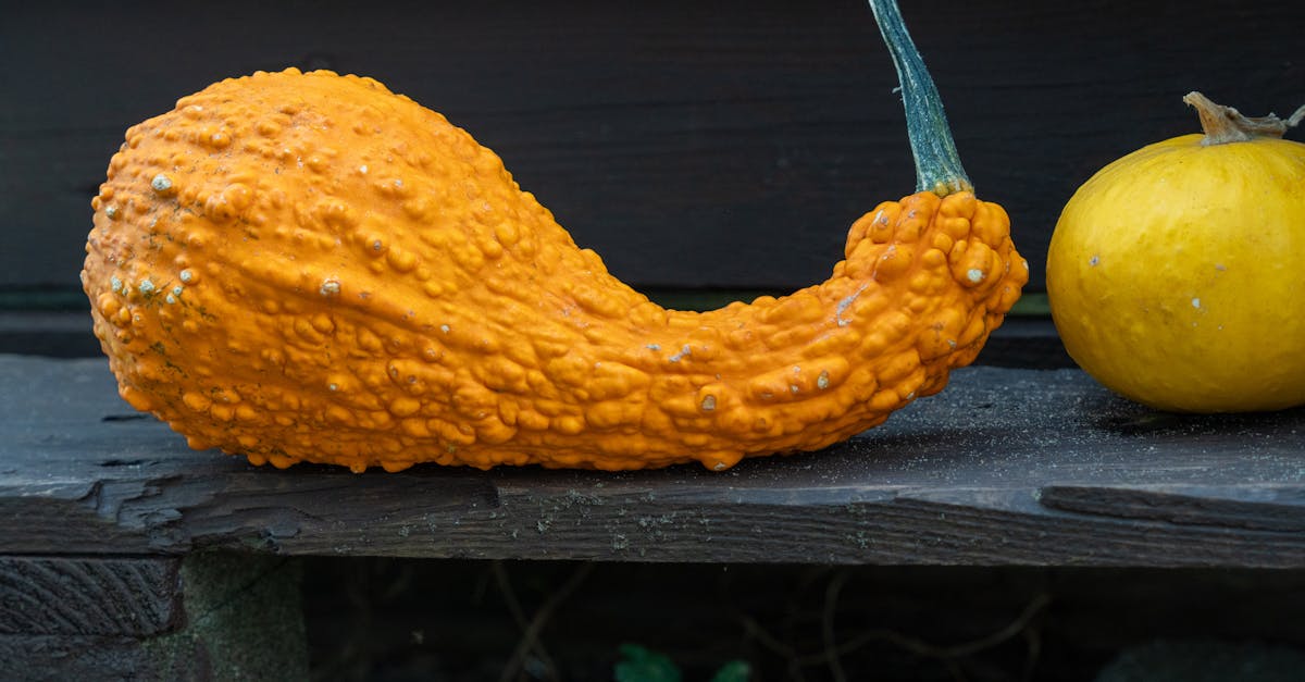 découvrez notre délicieuse recette de soupe de butternut, une combinaison parfaite de saveurs réconfortantes et de nutrition. facile à préparer, cette soupe onctueuse est idéale pour réchauffer vos soirées d'hiver. explorez les bienfaits de la courge butternut avec des ingrédients frais pour un plat savoureux et réconfortant.
