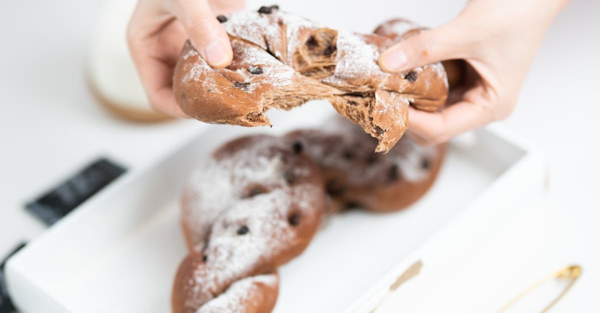 découvrez notre délicieuse brioche au chocolat, moelleuse et gourmande, parfaite pour le petit-déjeuner ou le goûter. une recette facile pour ravir les amateurs de pâtisserie !