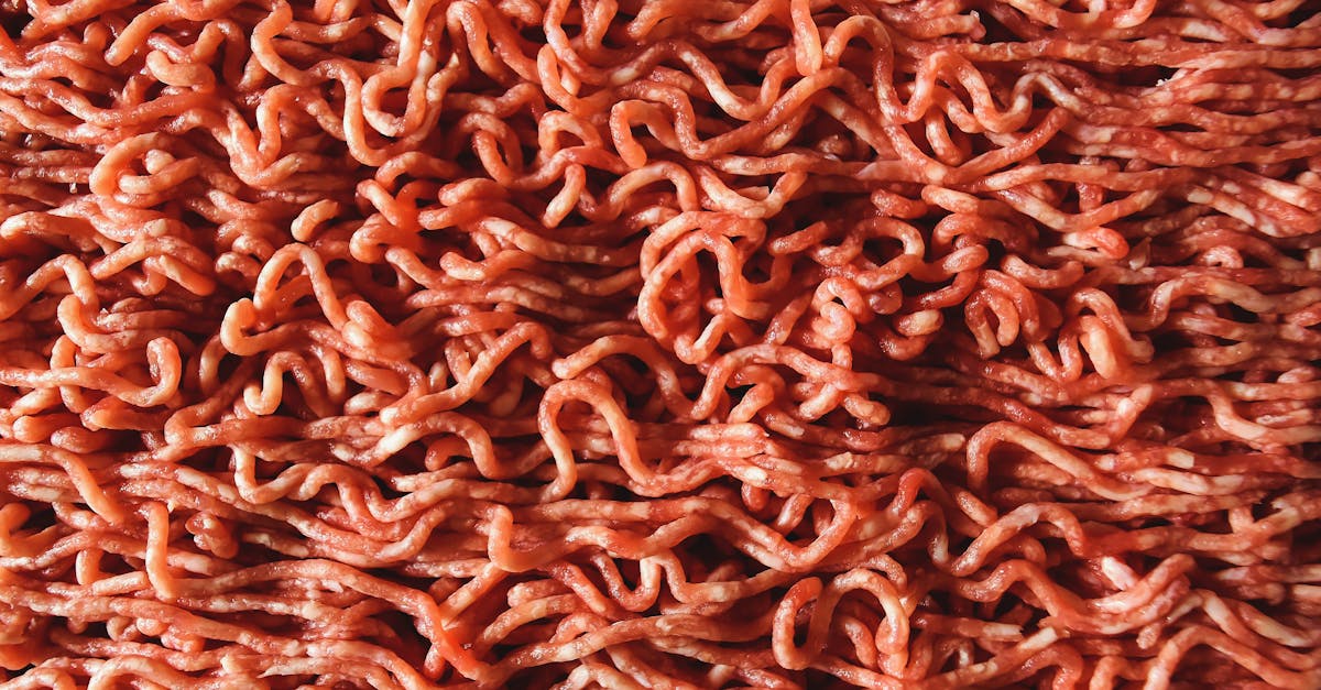 découvrez tout sur la viande hachée : conseils de préparation, idées de recettes savoureuses et astuces pour choisir la meilleure qualité de viande pour vos plats du quotidien.