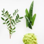 découvrez notre délicieuse purée de pois cassés, une option saine et réconfortante. parfaite pour accompagner vos plats ou à déguster seule, cette recette riche en saveurs et en nutriments ravira vos papilles. essayez-la dès aujourd'hui pour un repas savoureux et nourrissant!