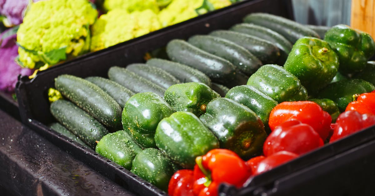 découvrez notre délicieuse recette de courgettes farcies, un plat savoureux et facile à préparer, parfait pour un repas équilibré et gourmand en famille ou entre amis.
