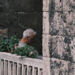 découvrez nos savoureuses cuisses de dinde, juteuses et pleines de saveurs, idéales pour un repas convivial. parfaites à rôtir, braiser ou griller, elles sauront régaler vos invités lors de vos repas de fête ou de vos soirées en famille.