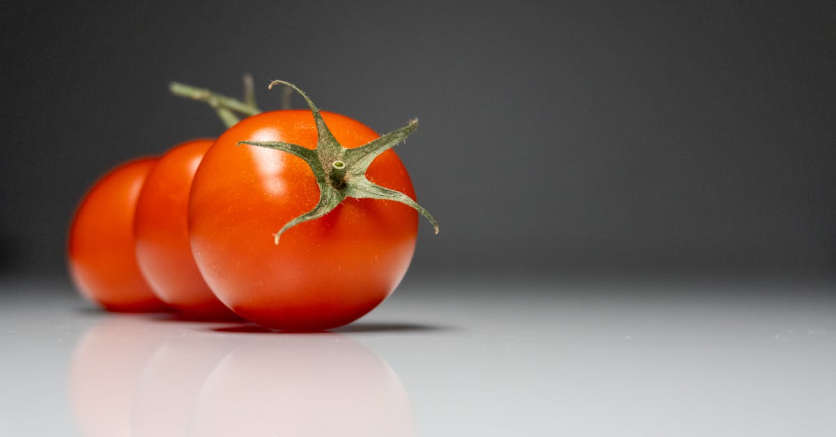 découvrez nos délicieuses mini quiches aux légumes, parfaites pour un apéritif convivial ou un repas léger. faciles à préparer, ces bouchées savoureuses raviront vos invités par leur mélange de légumes frais et leur croûte dorée.