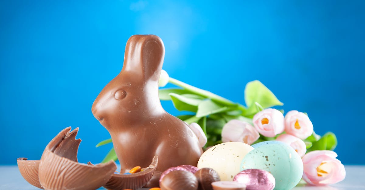 découvrez tout sur le chocolat : son histoire, ses variétés gourmandes, bienfaits, recettes savoureuses et astuces pour sublimer vos desserts. voyagez dans l’univers du chocolat !