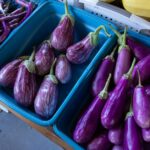 découvrez tout sur l'aubergine : ses bienfaits, ses utilisations en cuisine, ses valeurs nutritionnelles et des conseils pour la choisir et la cuisiner facilement au quotidien.