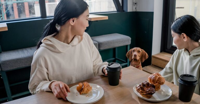 découvrez l'univers gourmand des pâtisseries françaises : croissants, éclairs, tartes et autres douceurs emblématiques à savourer pour le petit-déjeuner ou le dessert.