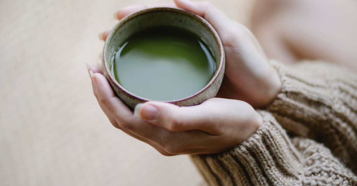 découvrez le matcha, une poudre de thé vert japonais reconnue pour ses bienfaits antioxydants, son goût unique et sa préparation traditionnelle. apprenez comment choisir, préparer et savourer le matcha au quotidien.