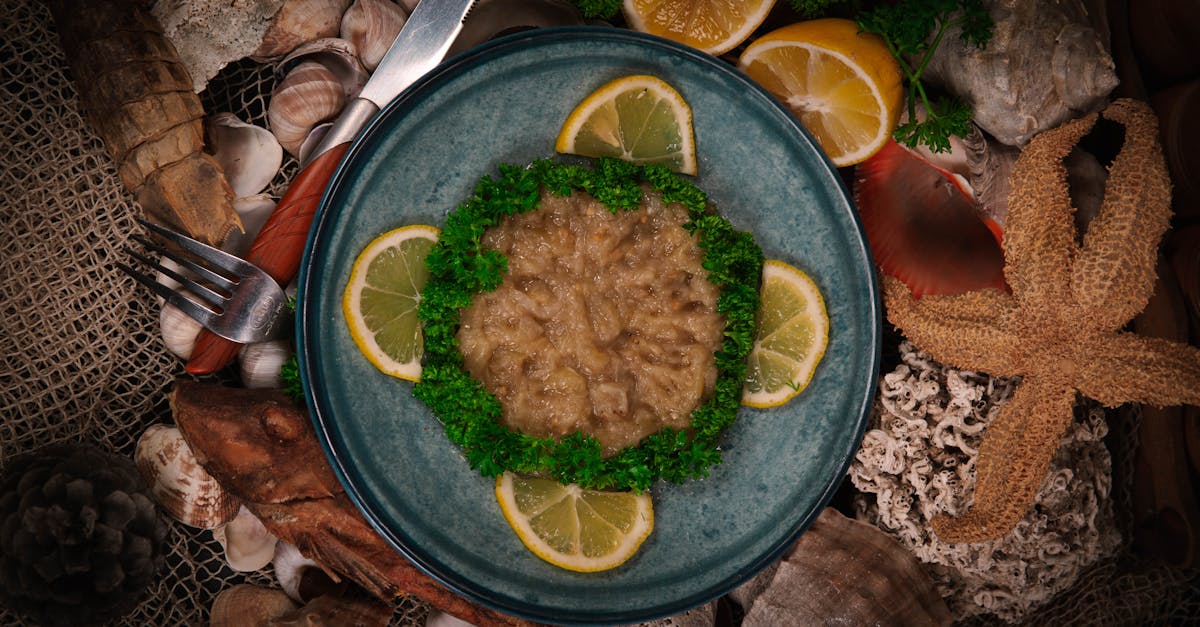 découvrez la recette traditionnelle de la salade d’aubergines (patlican salatasi), un délicieux mezze turc à base d’aubergines grillées, de légumes frais et d’huile d’olive. idéal en entrée ou en accompagnement !