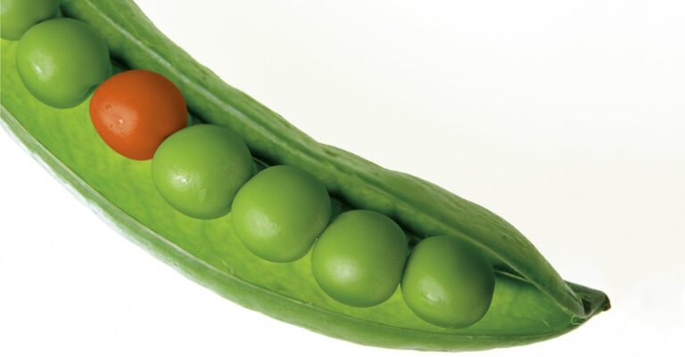 découvrez tous les secrets des pois (peas) : conseils de culture, bienfaits nutritionnels et idées de recettes simples pour savourer ce légume sain et délicieux.