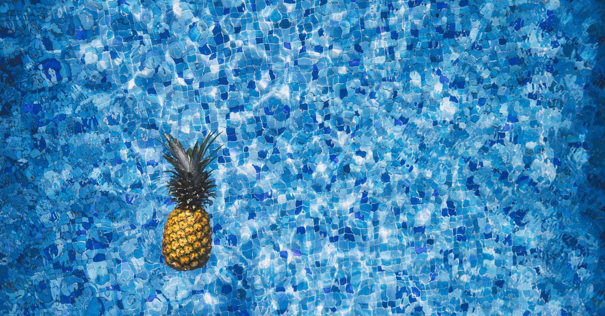 découvrez une recette rafraîchissante de sorbet à l'ananas, facile à réaliser et parfaite pour l'été. savourez un dessert exotique, léger et plein de saveurs naturelles d'ananas frais.