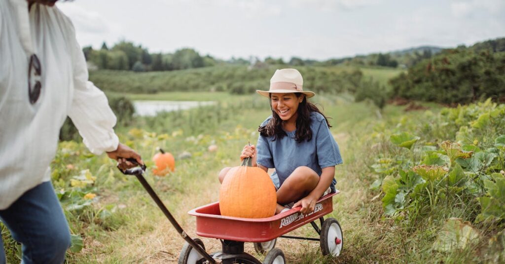 découvrez tout sur la citrouille : ses bienfaits, ses utilisations en cuisine, des idées de recettes et des conseils pour la cultiver facilement dans votre jardin.
