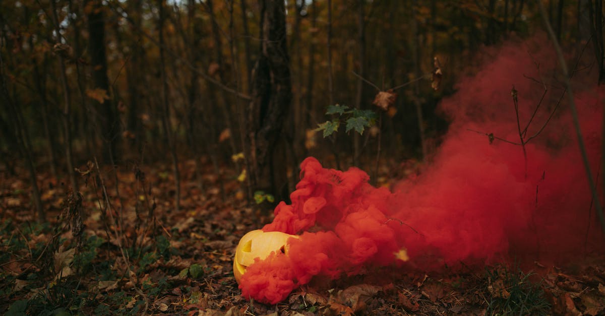 découvrez tout sur la pumpkin, ce légume d'automne savoureux : recettes, bienfaits, idées de décoration et conseils pour une cuisine saine et gourmande.