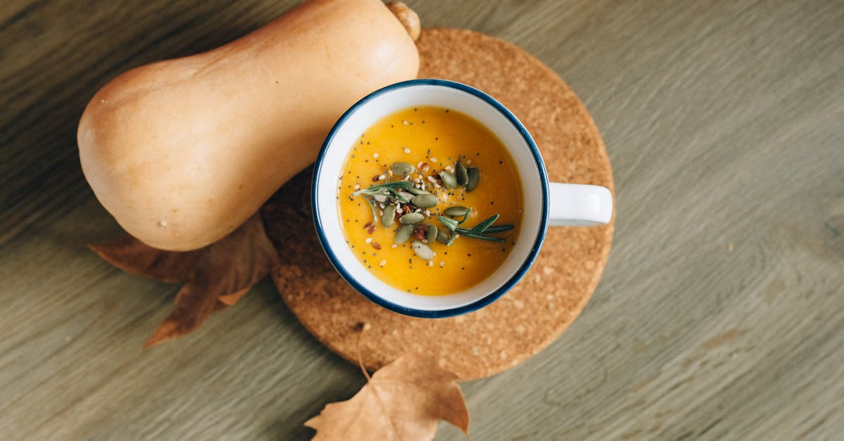 découvrez notre délicieuse recette de soupe de courge, parfaite pour réchauffer vos soirées d’automne. simple à préparer, savoureuse et crémeuse, cette soupe plaira à toute la famille !