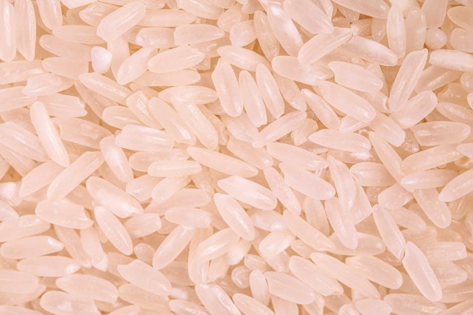 Riz Arborio en grains, idéal pour le risotto