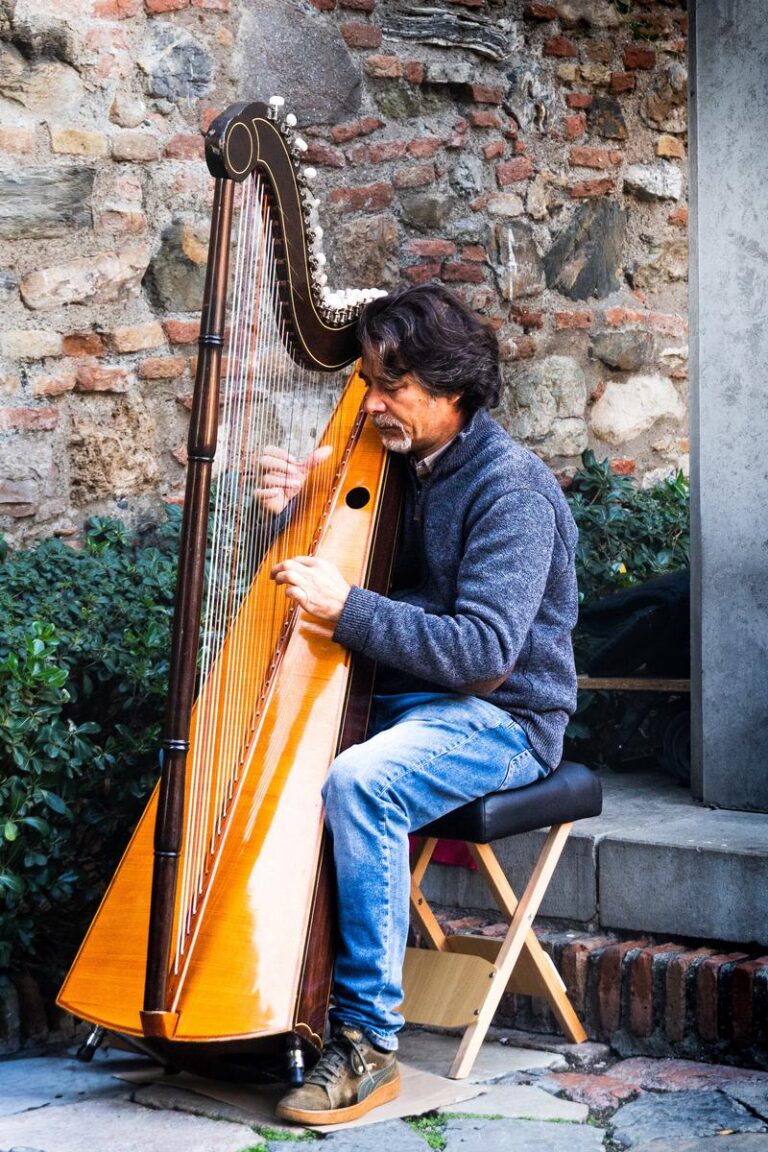 Peut-on apprendre la harpe à domicile et quelles sont les contraintes ?