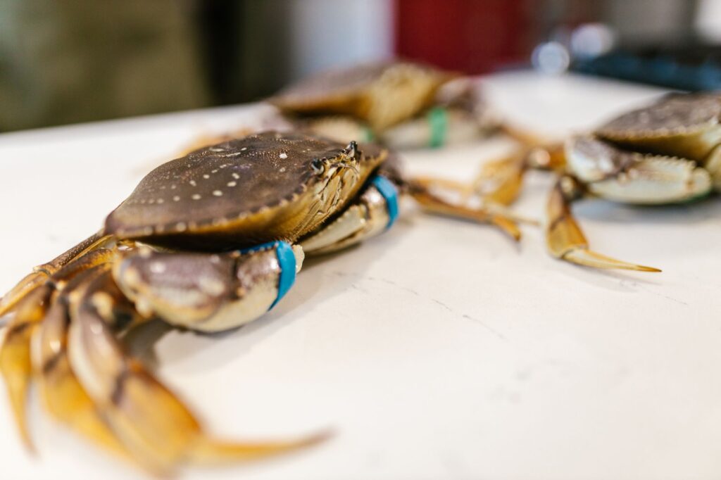 Gros plan de crabes Dungeness frais présentés sur une table de marché, idéal pour une exposition de fruits de mer.
