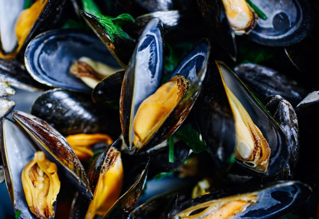 Gros plan de moules ouvertes mettant en valeur leurs couleurs fraîches et vibrantes dans un plat gastronomique.