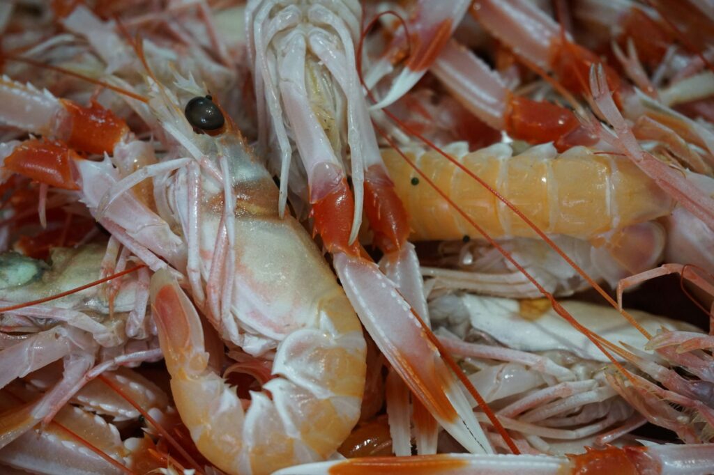 Gros plan de langoustines fraîches présentant des couleurs et des détails vibrants.