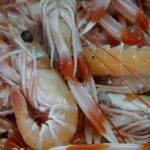 Gros plan de langoustines fraîches présentant des couleurs et des détails vibrants.