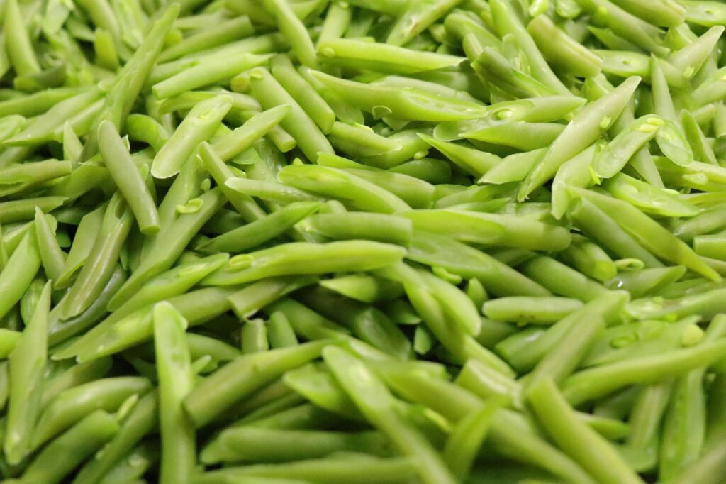 Image en gros plan de haricots verts bio fraîchement récoltés, mettant en valeur la texture naturelle et la couleur verte vive.