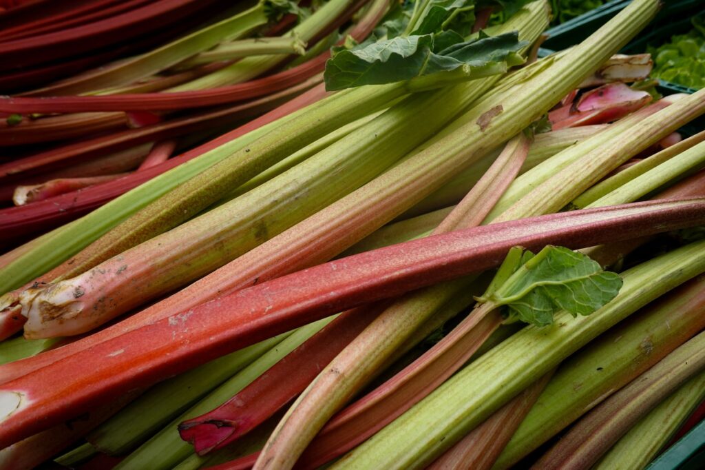 Des tiges de rhubarbe vibrantes et fraîches exposées sur un marché, mettant en valeur des couleurs et des textures naturelles.