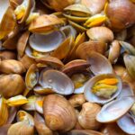 Une image en gros plan éclatante de palourdes fraîchement cuites à la vapeur, avec leurs coquilles, révélant des textures complexes.