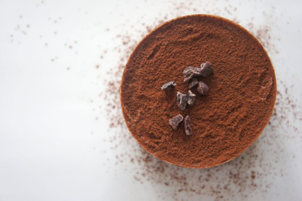 Vue de dessus d'un dessert au chocolat riche saupoudré de poudre de cacao sur un fond blanc.