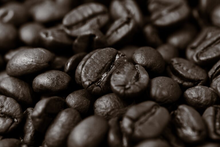 Café Inde Malabar : un café de caractère venu d’Inde