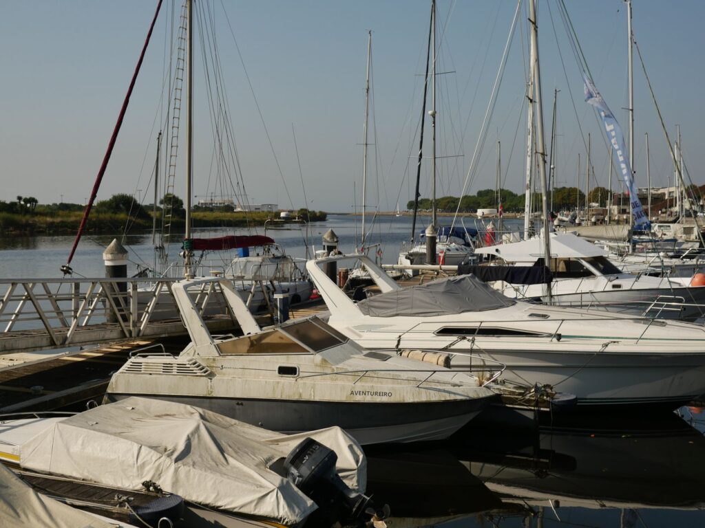 Marina paisible avec voiliers et yachts amarrés, idéale pour les images de voyage.
