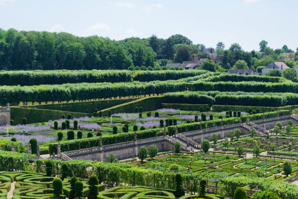 Vue aérienne des jardins complexes du Château de Villandry, mettant en valeur une végétation luxuriante et des motifs géométriques.