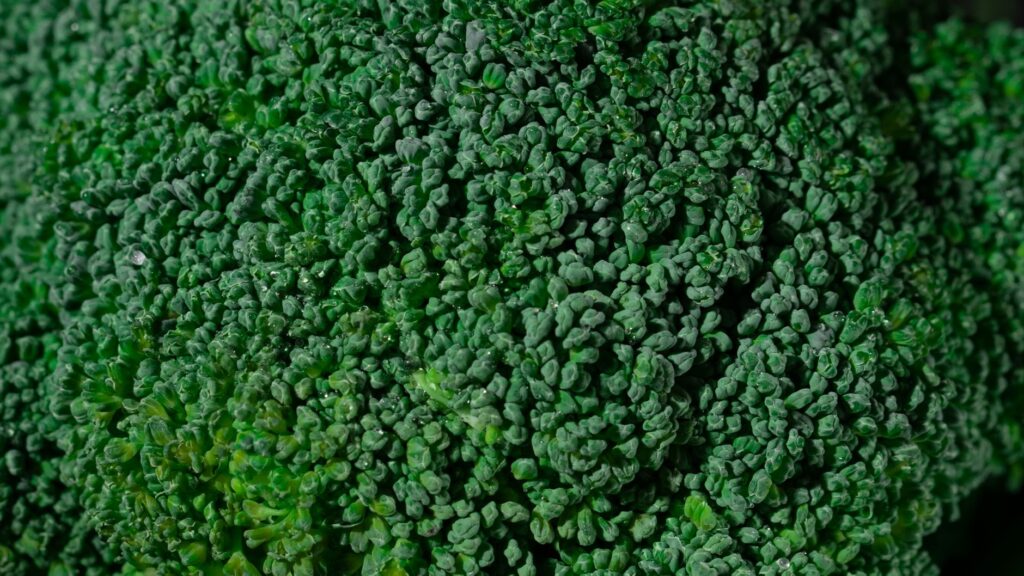 Image macro détaillée de brocoli vert frais, mettant en valeur sa texture et sa fraîcheur.